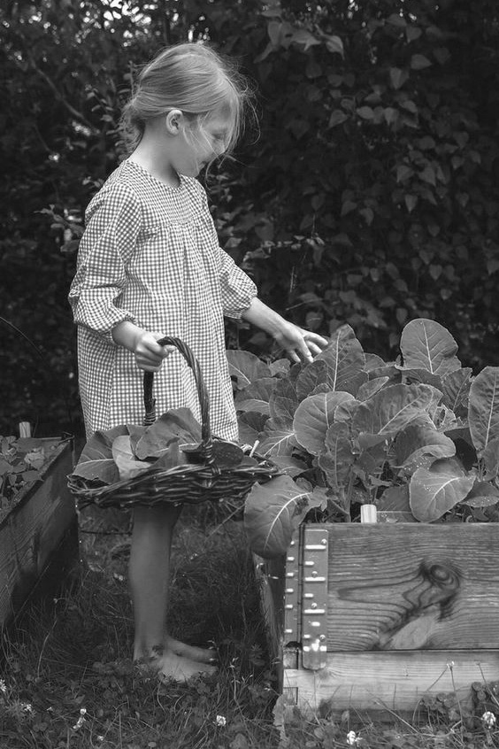 Young girl in garden